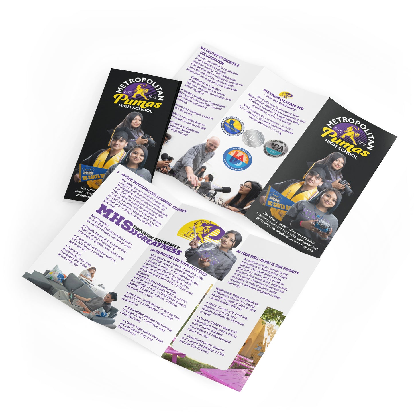 Education Flyers / Brochures